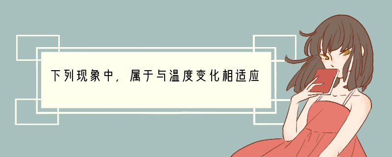 下列现象中，属于与温度变化相适应的是（　　）A．大雁的迁徙B．山顶的旗形树冠C．荒漠